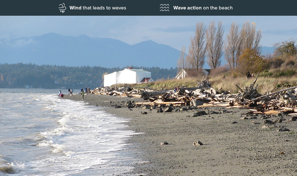 Beach showing medium erosion risk