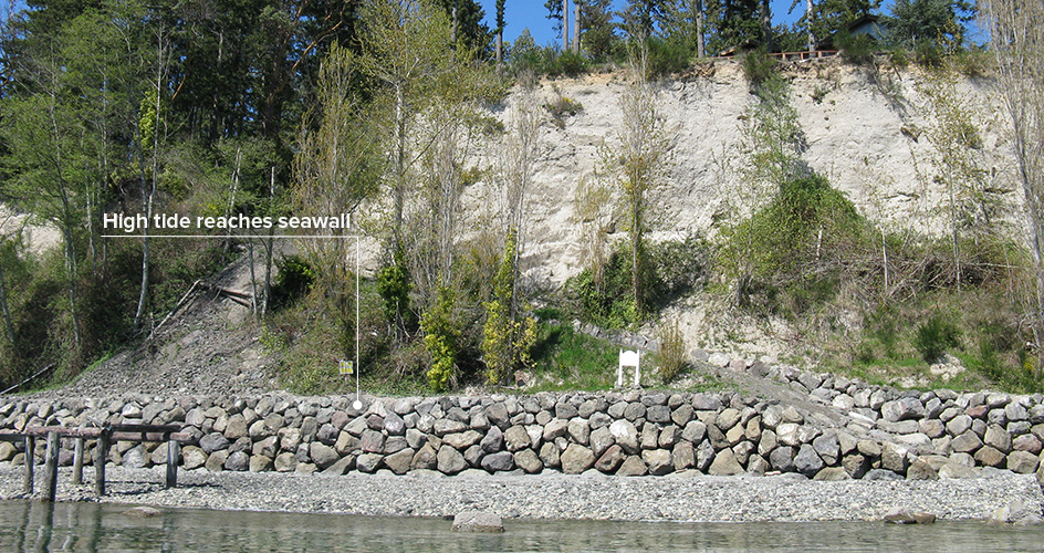 Seawall hard armor on the shoreline